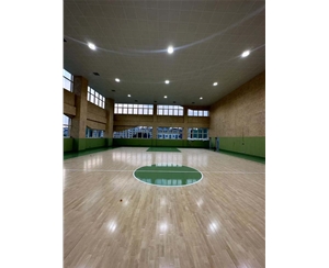 白云江夏篮球场运动木地板
